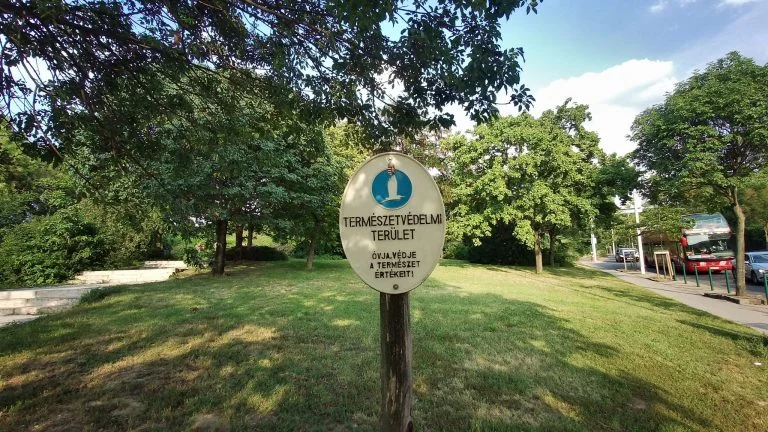 Feiyu Pocket vs. Xiaomi Fimi gimbal kamera 24