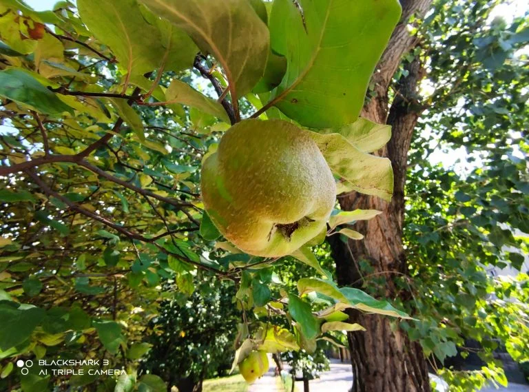 Black Shark 3 gamer telefon teszt 44