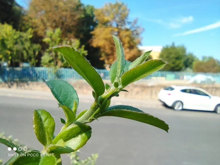 Poco X3 NFC smartphone test 42