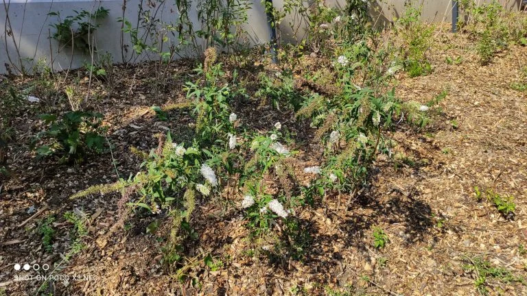 Poco X3 NFC smartphone test 52