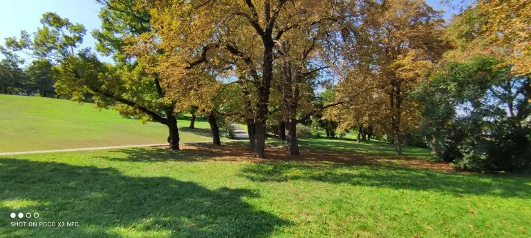 Poco X3 NFC smartphone test 59