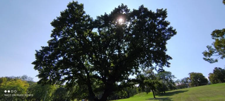 Poco X3 NFC smartphone test 60