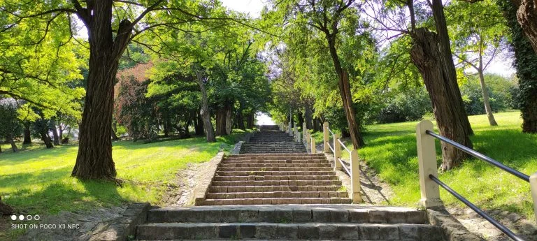 Poco X3 NFC smartphone test 63