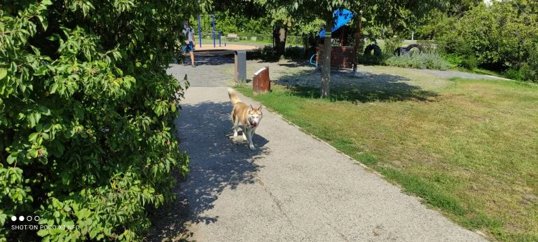 Poco X3 NFC smartphone test 65