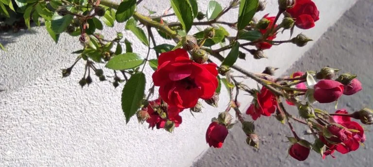 Redmi Note 9 Pro okostelefon teszt 43