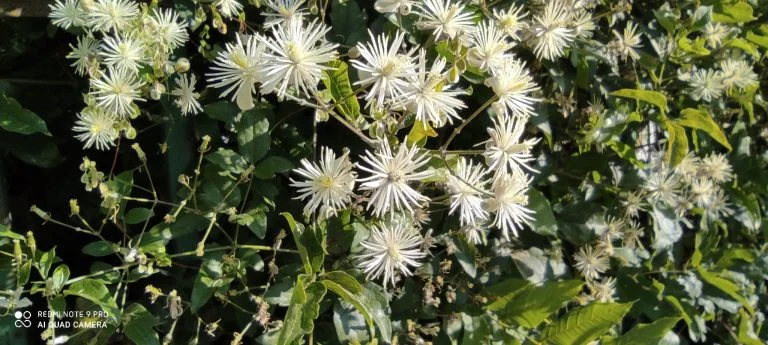 Redmi Note 9 Pro okostelefon teszt 44