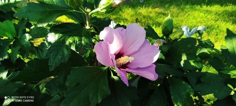 Redmi Note 9 Pro okostelefon teszt 42