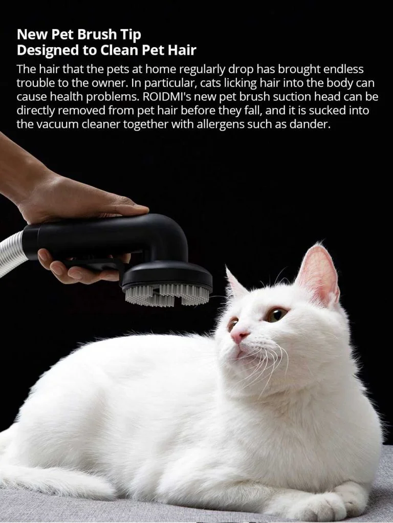 Roidmi vásár a Geekbuyingon 12