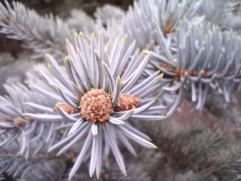 Oukitel C21 okostelefon teszt 28