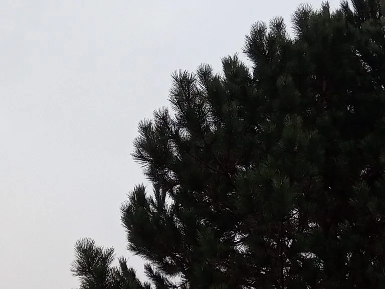 Oukitel C21 okostelefon teszt 27