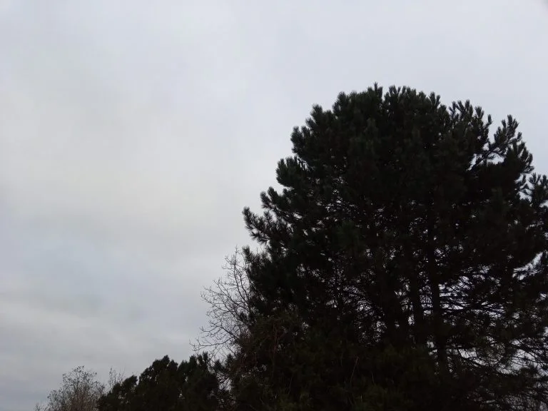 Oukitel C21 okostelefon teszt 26