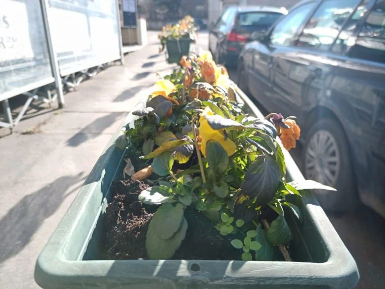 Umidigi Bison strapatelefon teszt 32