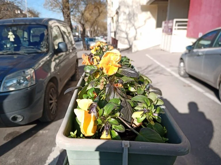 Umidigi Bison strapatelefon teszt 33