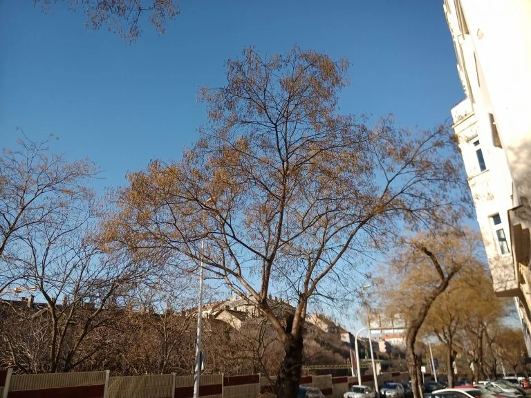 Umidigi Bison strapatelefon teszt 34