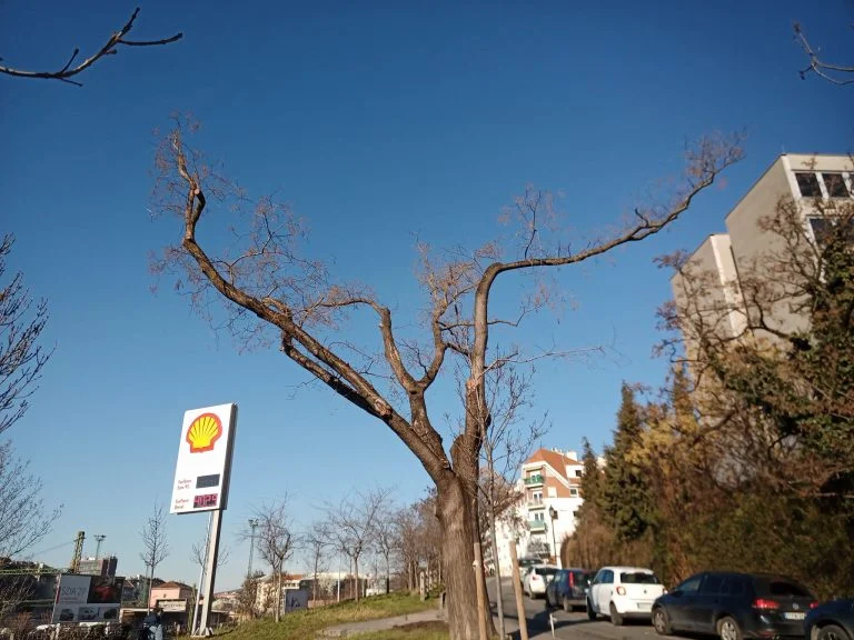 Umidigi Bison strapatelefon teszt 41