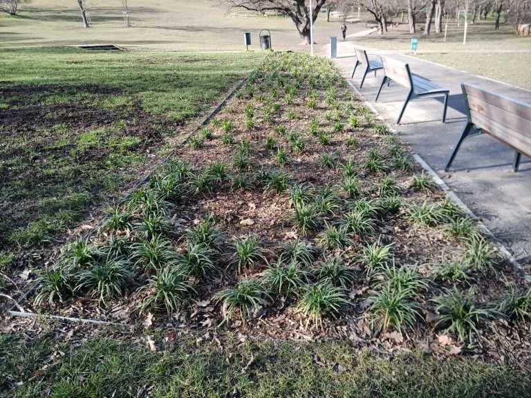 Umidigi Bison strapatelefon teszt 55