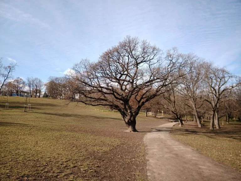 Umidigi Bison strapatelefon teszt 56