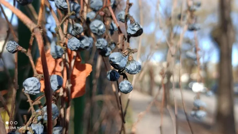 Xiaomi Redmi Note 9T okostelefon teszt 44