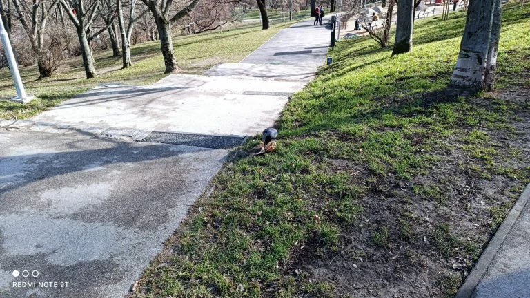 Xiaomi Redmi Note 9T okostelefon teszt 48