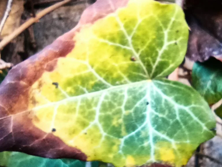 Xiaomi Redmi Note 9T okostelefon teszt 57