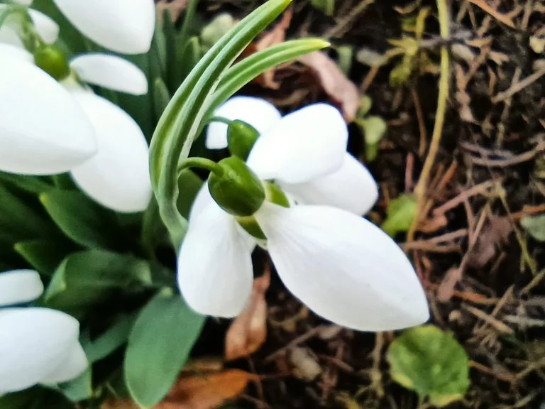 Xiaomi Redmi Note 9T okostelefon teszt 59