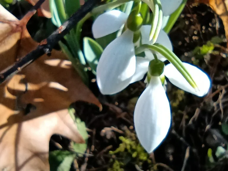 Xiaomi Redmi Note 9T okostelefon teszt 60