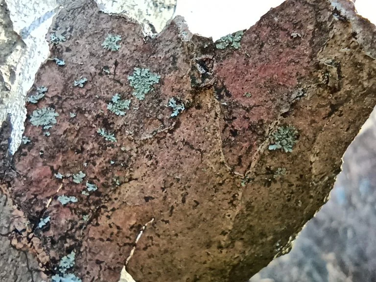 Xiaomi Redmi Note 9T okostelefon teszt 62