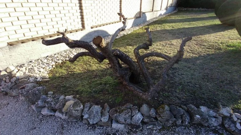 Xiaomi Fimi Palm 2 gimbalkamera teszt 24