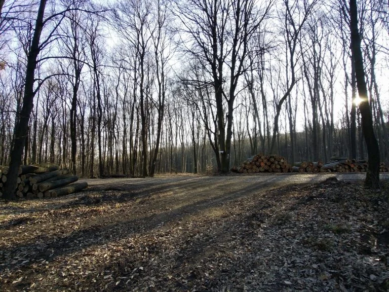 Xiaomi Fimi Palm 2 gimbalkamera teszt 27