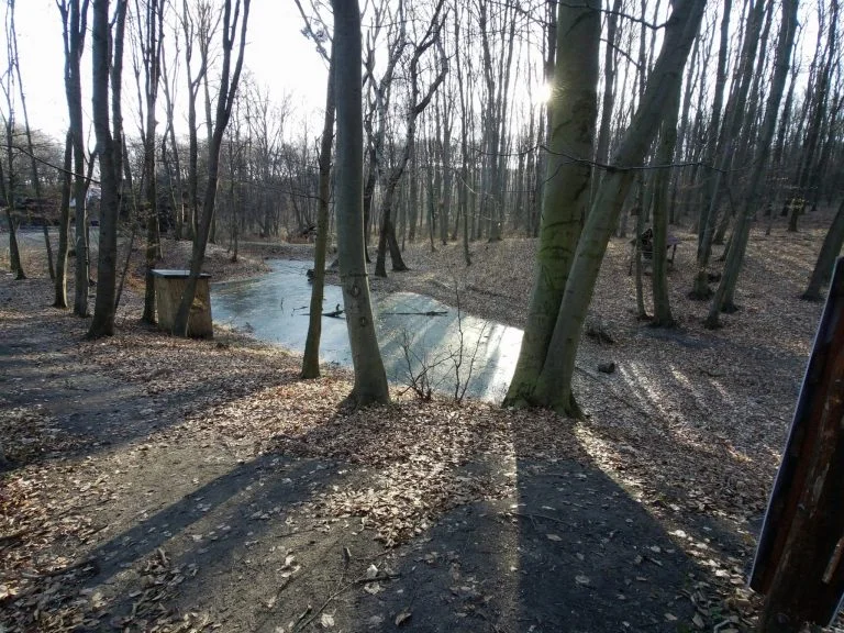 Xiaomi Fimi Palm 2 gimbalkamera teszt 29