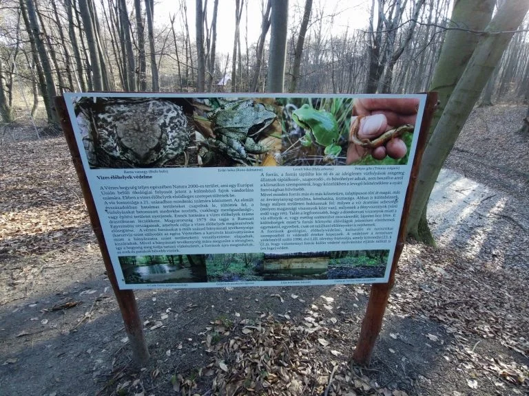 Xiaomi Fimi Palm 2 gimbalkamera teszt 30