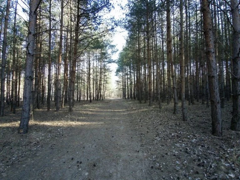 Xiaomi Fimi Palm 2 gimbalkamera teszt 36