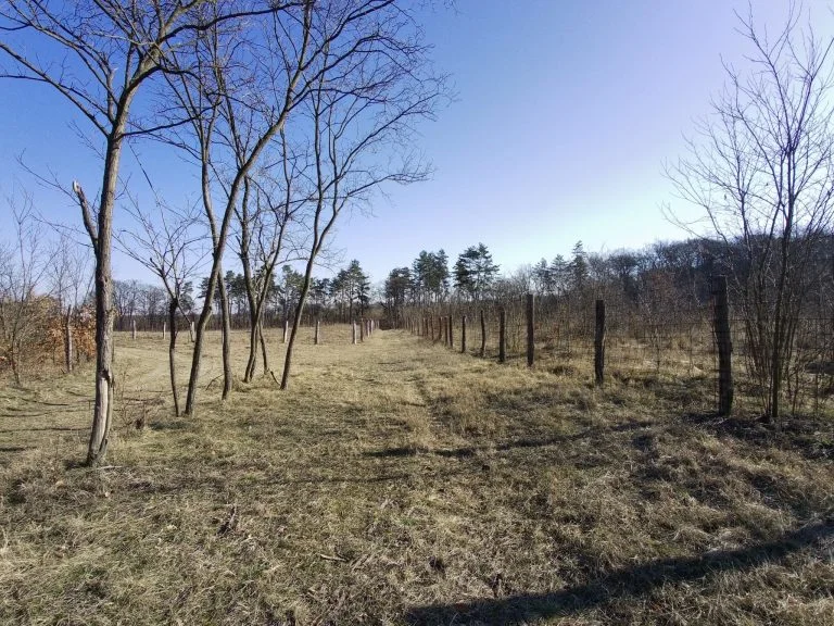 Xiaomi Fimi Palm 2 gimbalkamera teszt 38