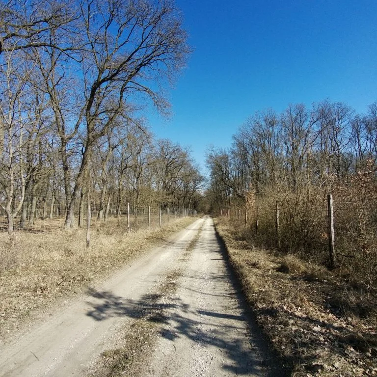 Xiaomi Fimi Palm 2 gimbalkamera teszt 40