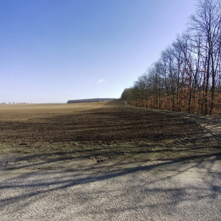 Xiaomi Fimi Palm 2 gimbalkamera teszt 41