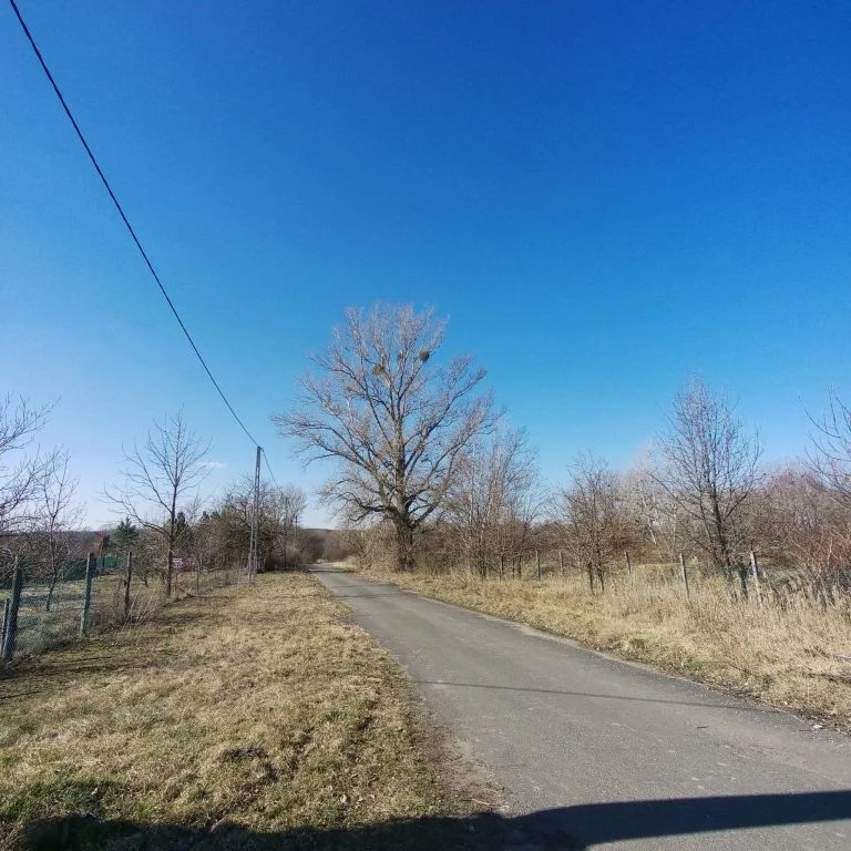 Xiaomi Fimi Palm 2 gimbalkamera teszt 43