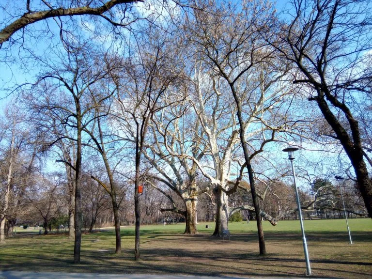 F150 B2021 strapatelefon teszt 29