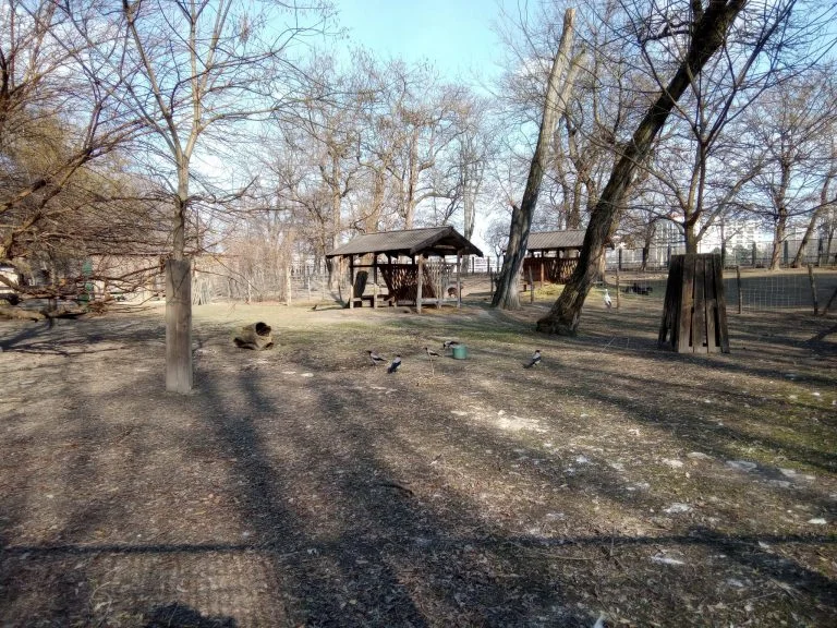 F150 B2021 strapatelefon teszt 33