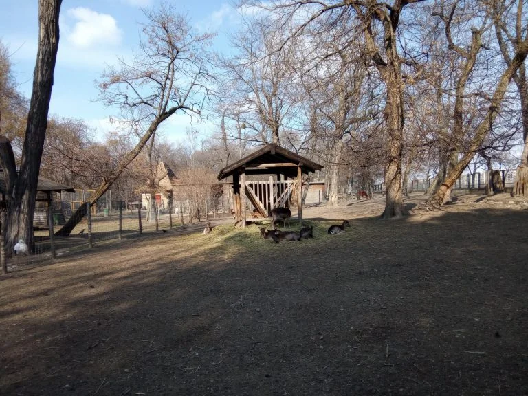 F150 B2021 strapatelefon teszt 35