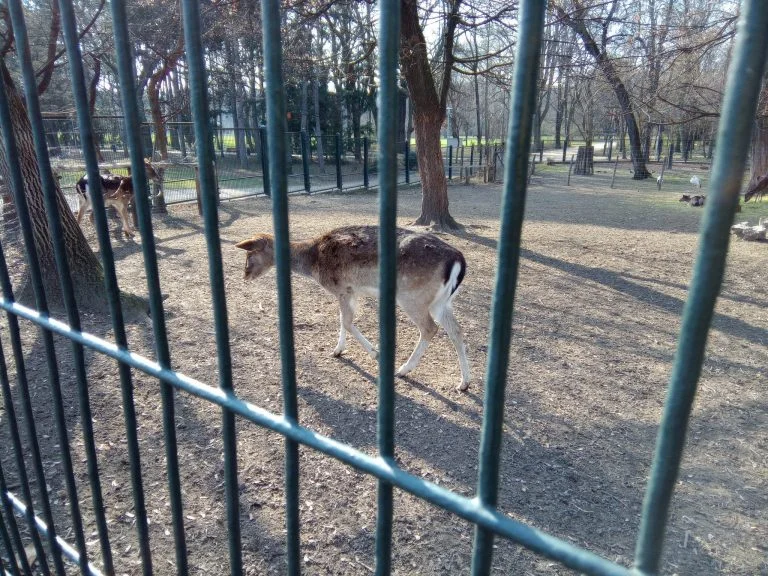 F150 B2021 strapatelefon teszt 36