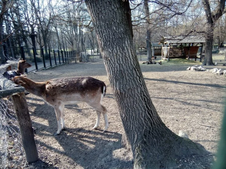 F150 B2021 strapatelefon teszt 37