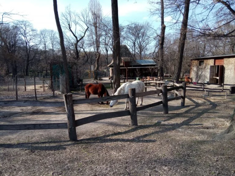 F150 B2021 strapatelefon teszt 39