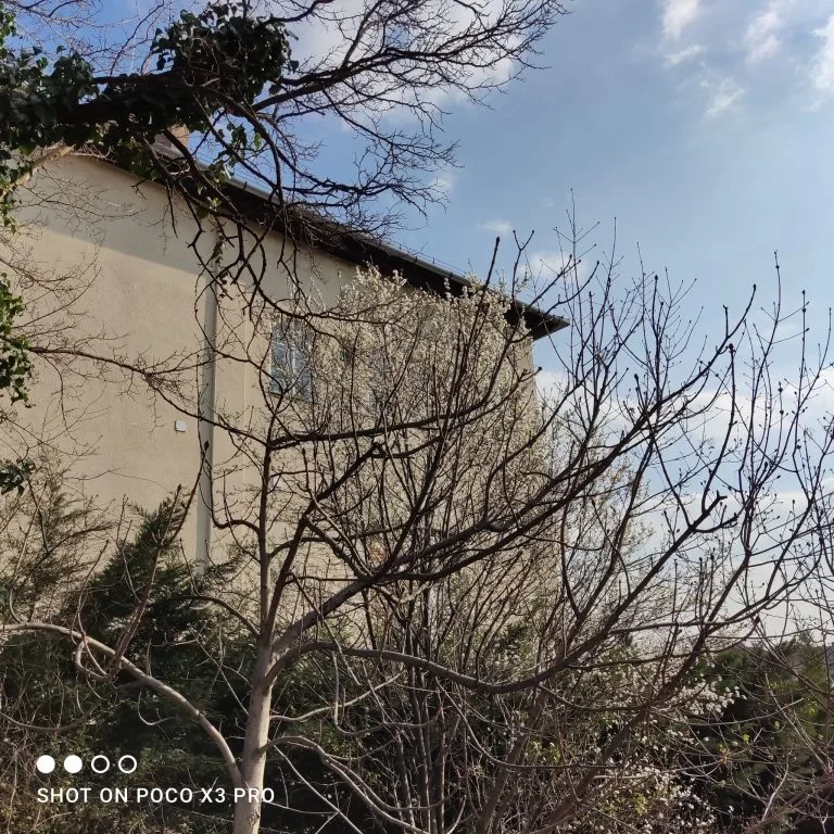 Prueba 3 del teléfono inteligente Poco X47 Pro