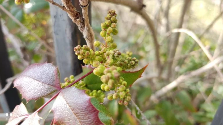 Prueba 3 del teléfono inteligente Poco X48 Pro