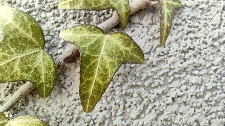 Prueba 3 del teléfono inteligente Poco X51 Pro