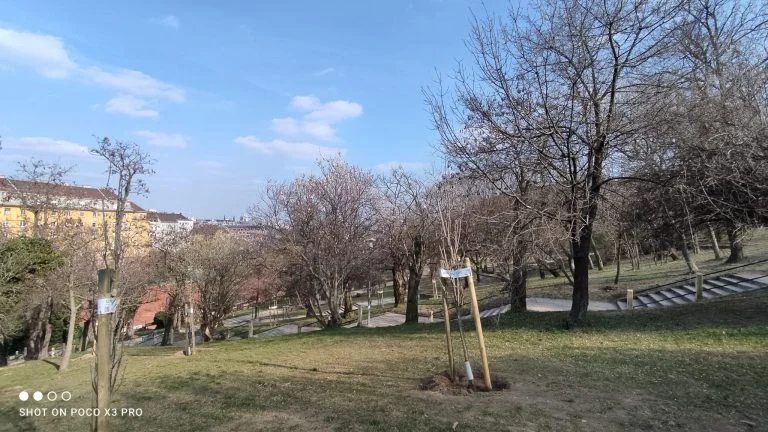 Prueba 3 del teléfono inteligente Poco X69 Pro