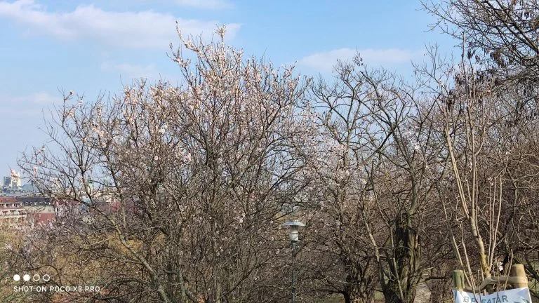 Prueba 3 del teléfono inteligente Poco X70 Pro