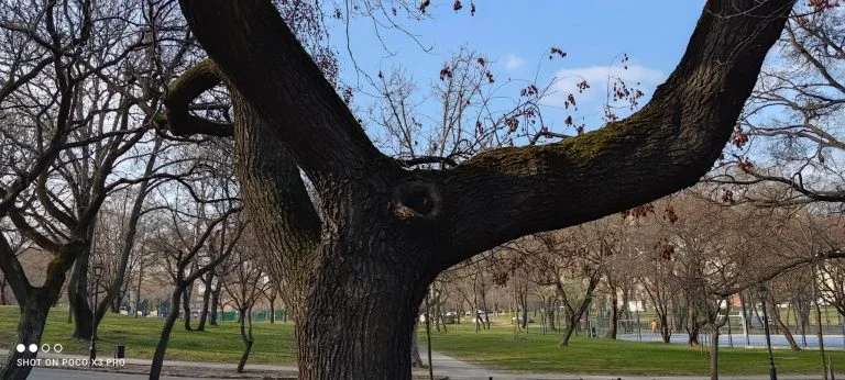 Prueba 3 del teléfono inteligente Poco X86 Pro