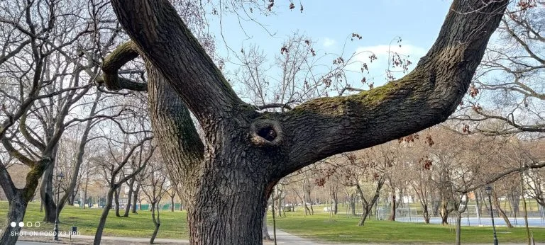 Prueba 3 del teléfono inteligente Poco X87 Pro