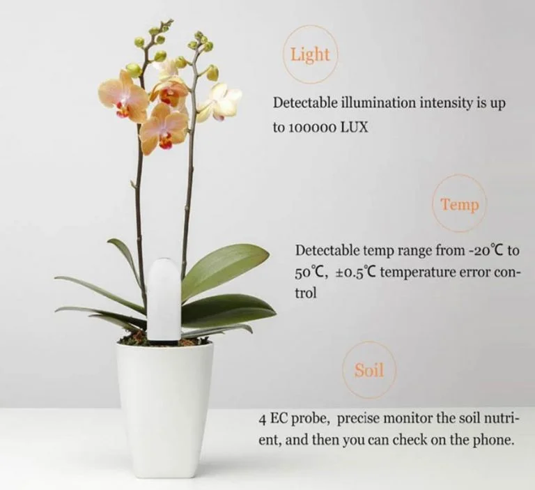 Okosan nevelhetjük a virágainkat a VegTrug növénymonitorral 8